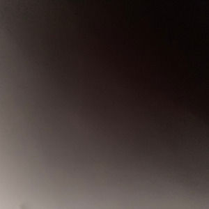 Meet your Posher, Isabella